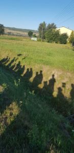 Honeyview_IMG-20220811-WA0008