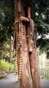 Honeyview_20230513_133218~2