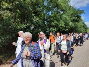 Honeyview_363849589_667208175440430_2965649610073647920_n