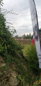 Honeyview_IMG_20230814_085203