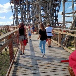 Honeyview_image000000(4)