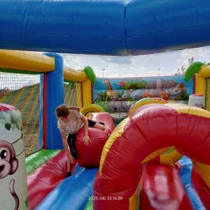 Honeyview_image000007(1)