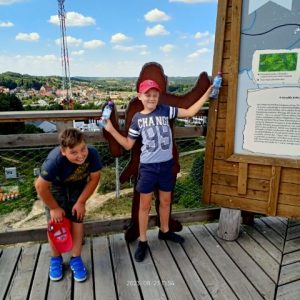 Honeyview_image000009(2)