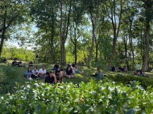 Honeyview_379261547_705475868289601_7758477309922698671_n