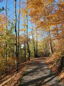 Honeyview_391628945_122100826724074731_4754672509053308271_n