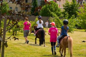 Honeyview_503504769_1109516087724023_466303376686626331_n