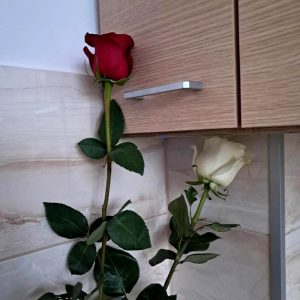 Jabłonowo - Czas to iłość 1 (6)